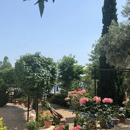 La'mer Dhermi